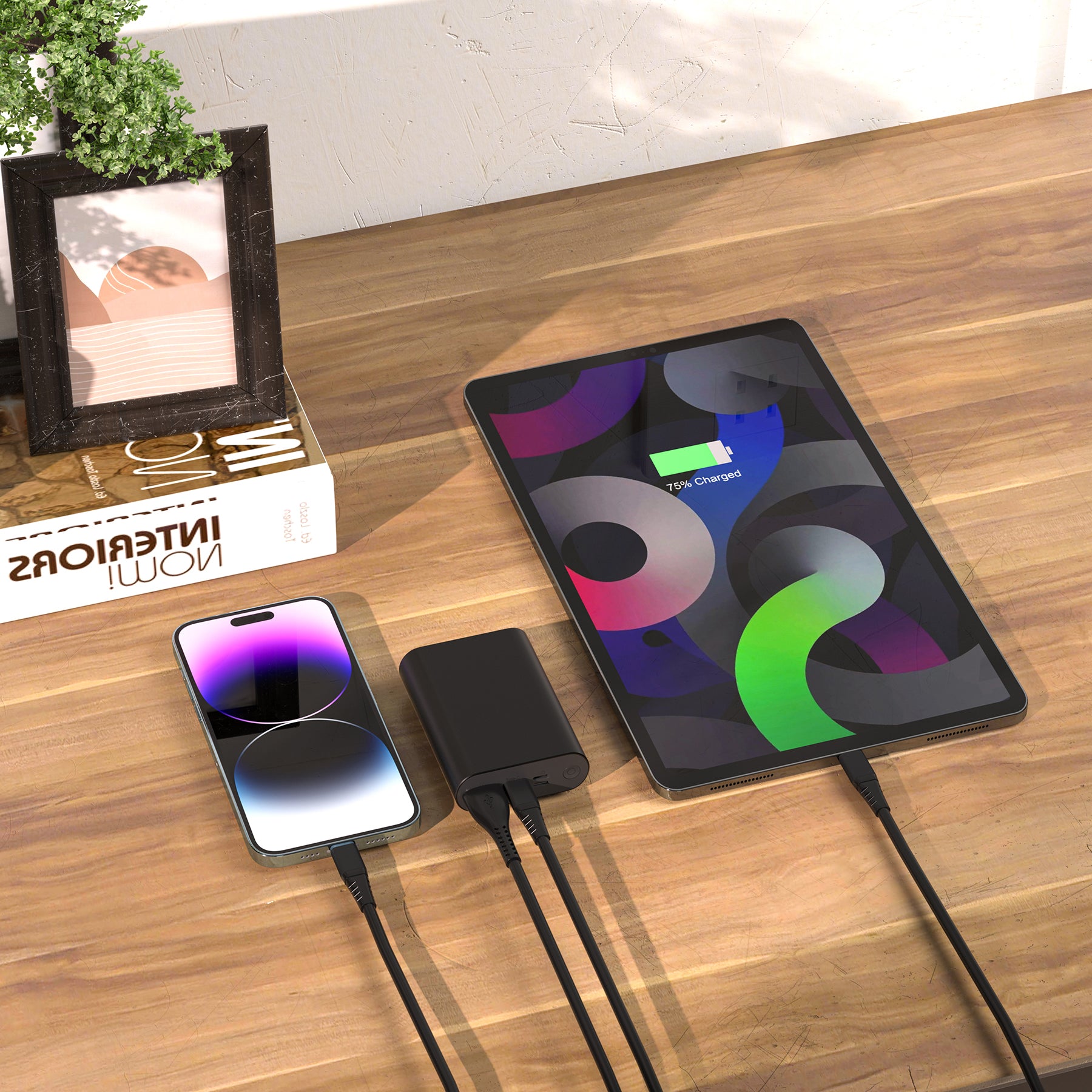 LAX Portable 22.5W Fast Charging Power Bank - 12,000 mAh Aluminum Battery Pack, USB and Type-C Input/Output Power Bank