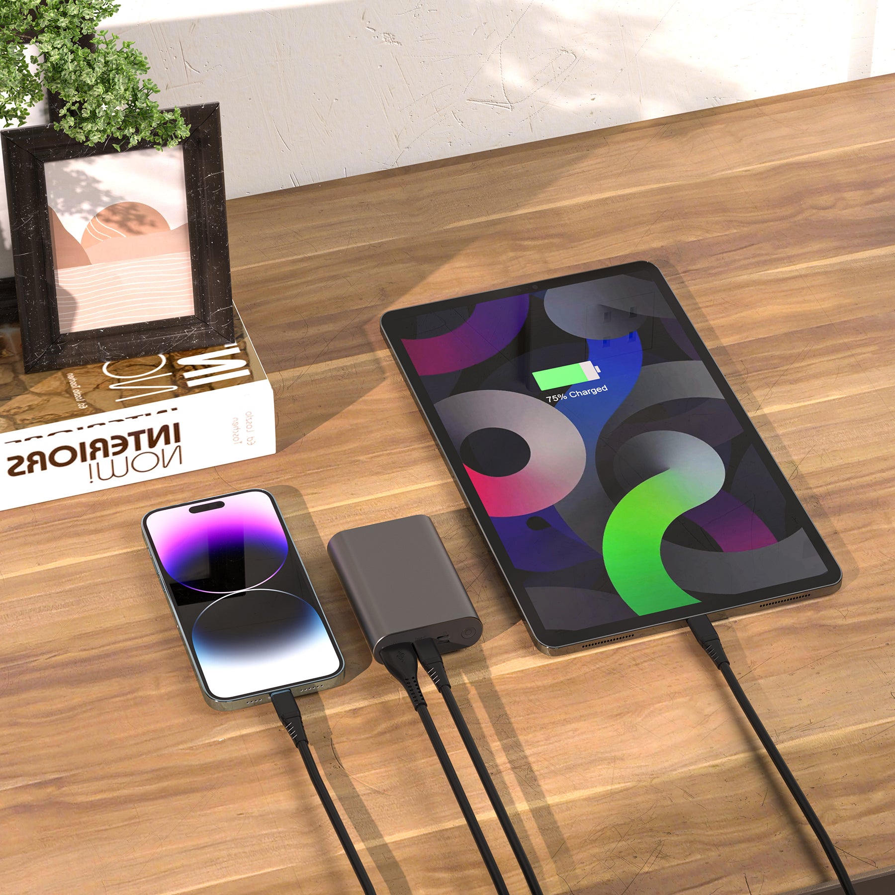 LAX Portable 22.5W Fast Charging Power Bank - 12,000 mAh Aluminum Battery Pack, USB and Type-C Input/Output Power Bank