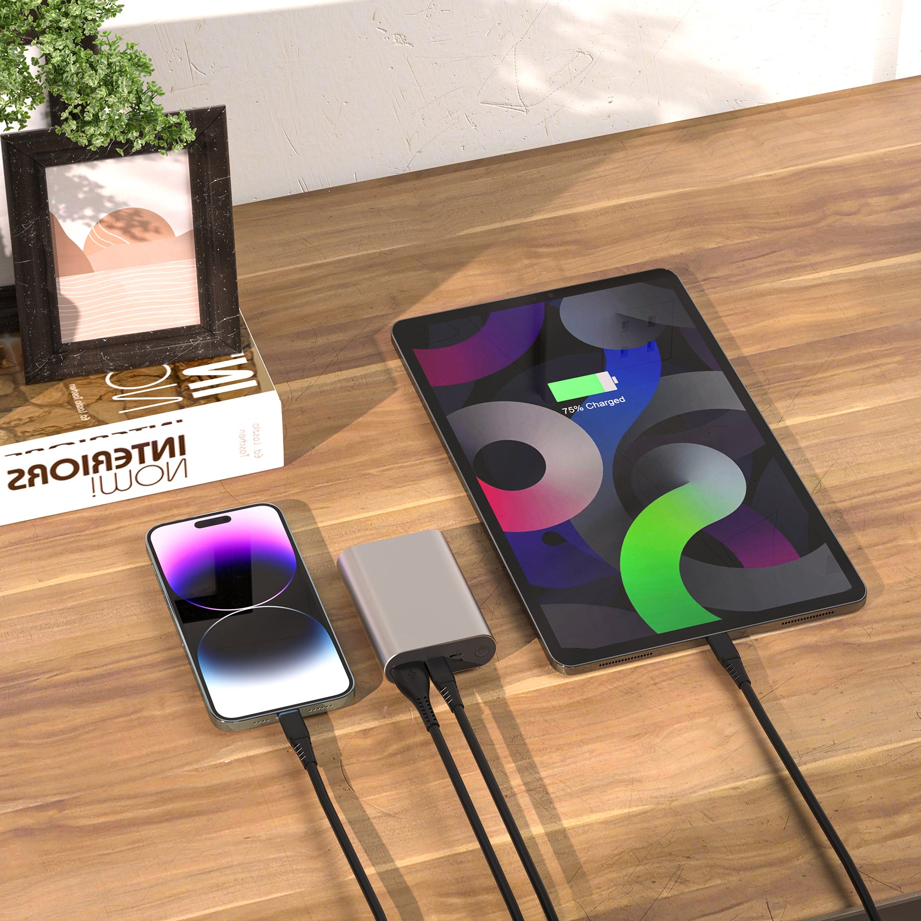 LAX Portable 22.5W Fast Charging Power Bank - 12,000 mAh Aluminum Battery Pack, USB and Type-C Input/Output Power Bank