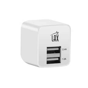 Rapid Charging Dual USB Wall Charger