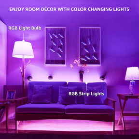 2-Pack Smart Home Multi-Color 5W LED A19 Bulb