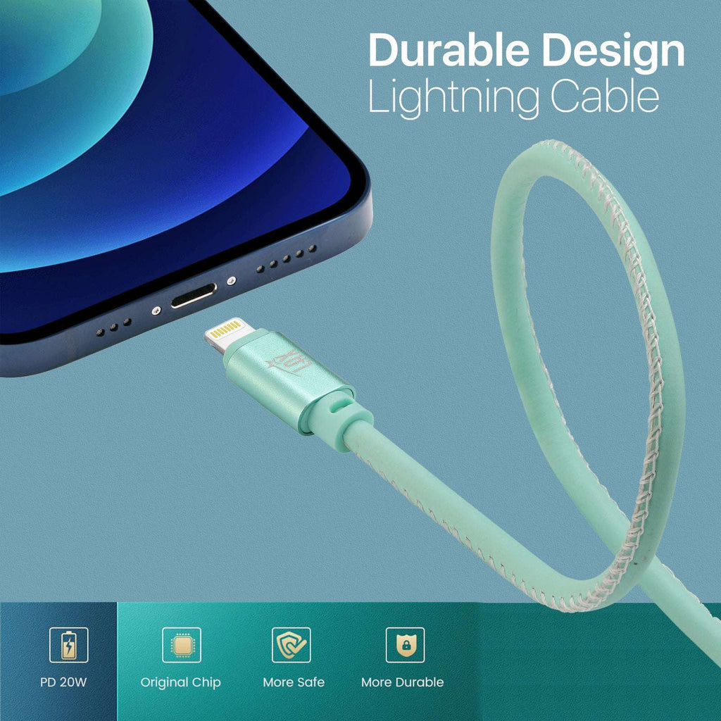 USB to iPhone Cable - Glow in the Dark Cable - Fast Charging Cable (10ft)