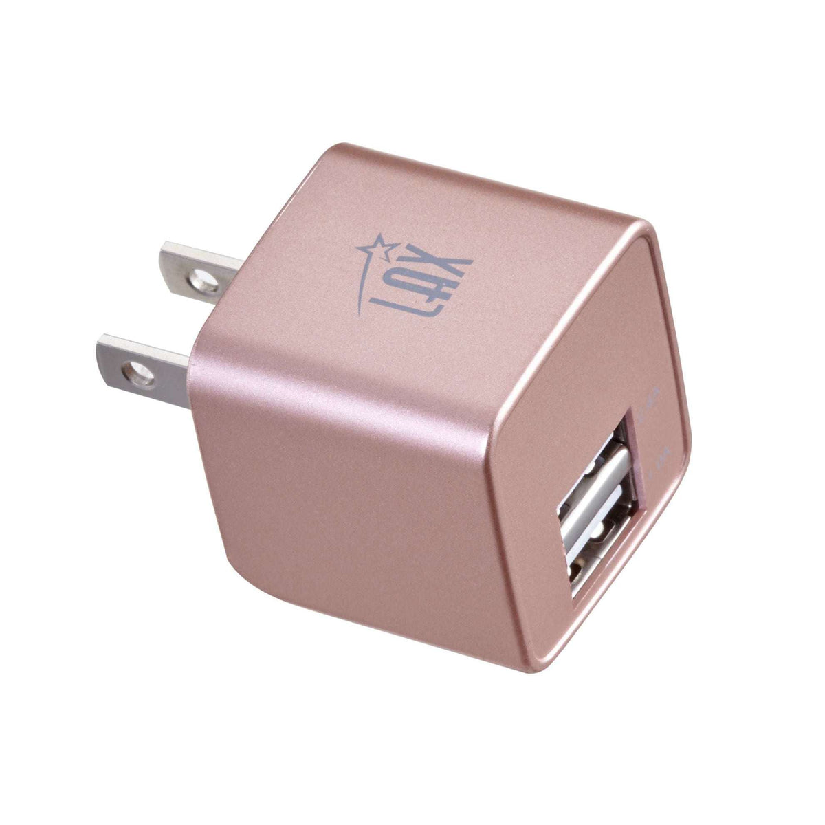 Rapid Charging Dual USB Wall Charger
