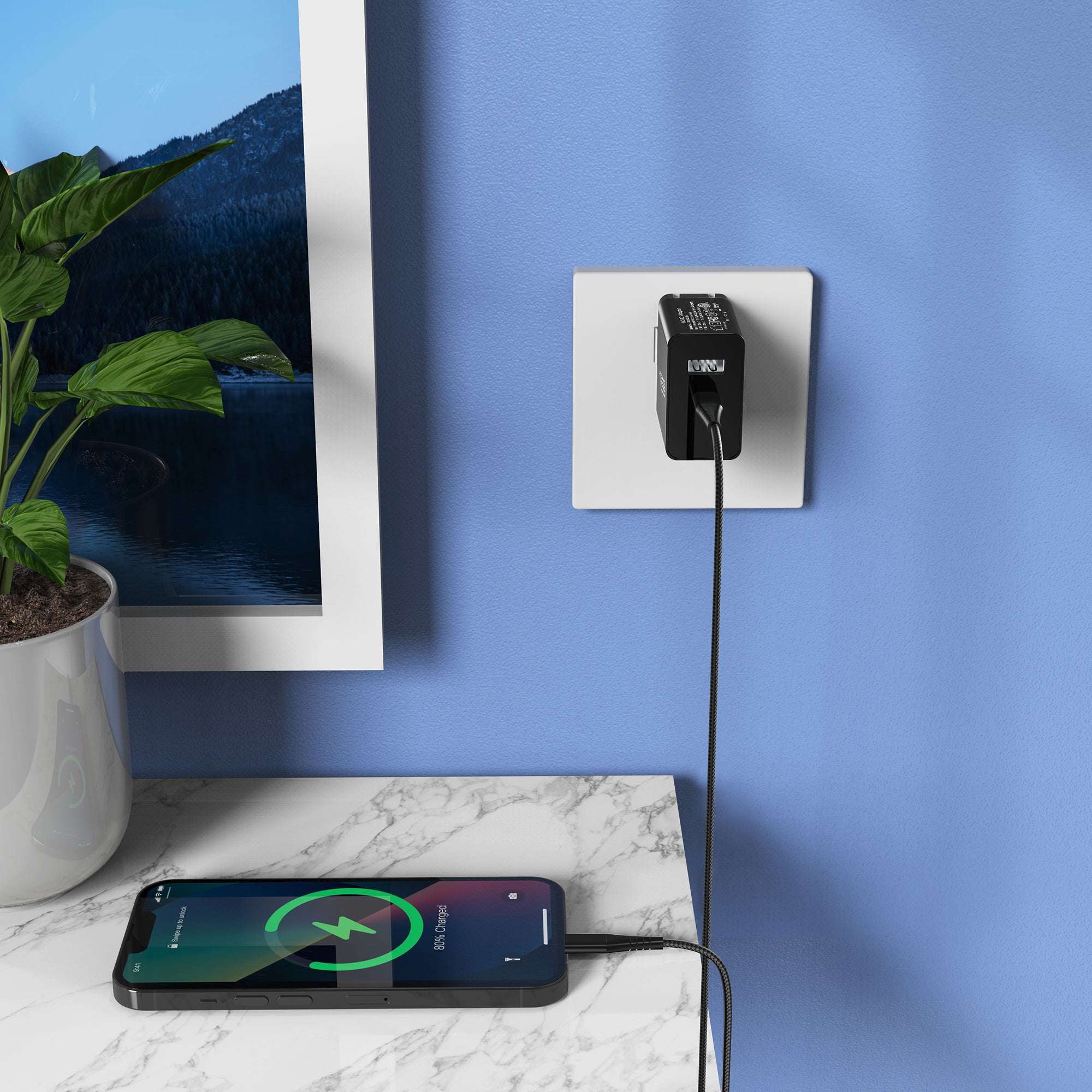 LAX 20W Wall Charger with iPhone Compatible Cable (6ft)